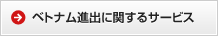 ベトナム進出に関するサービス