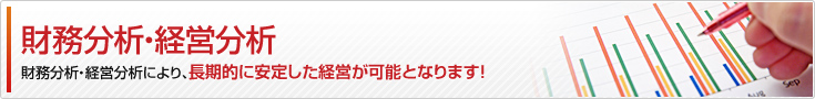 財務分析・経営分析