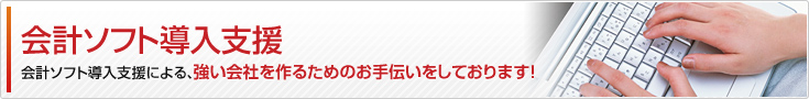 会計ソフト導入支援