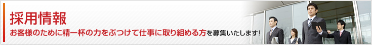 採用情報