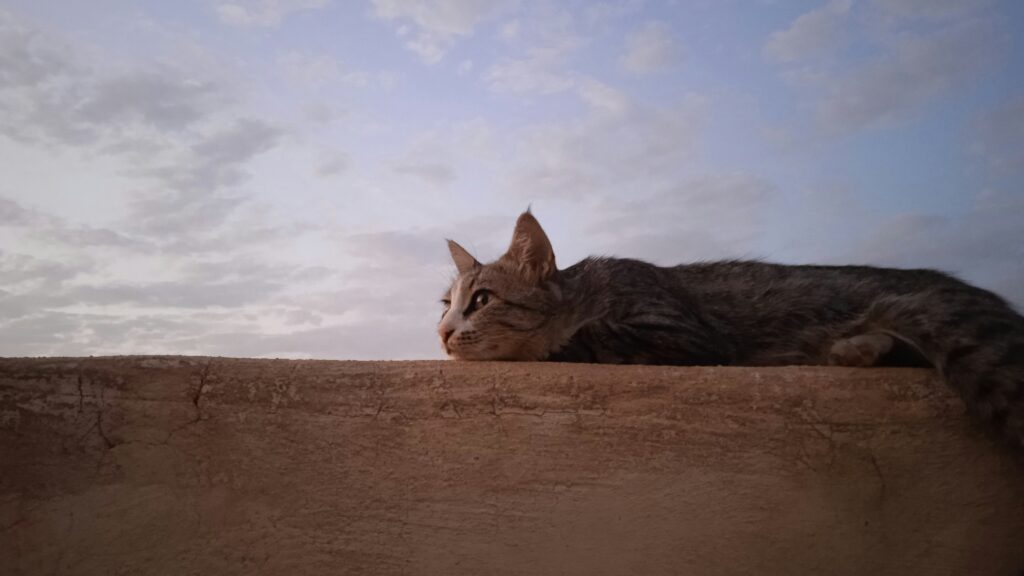 明日の事を考えて生きるか？昨日の事を考えて生きるか？