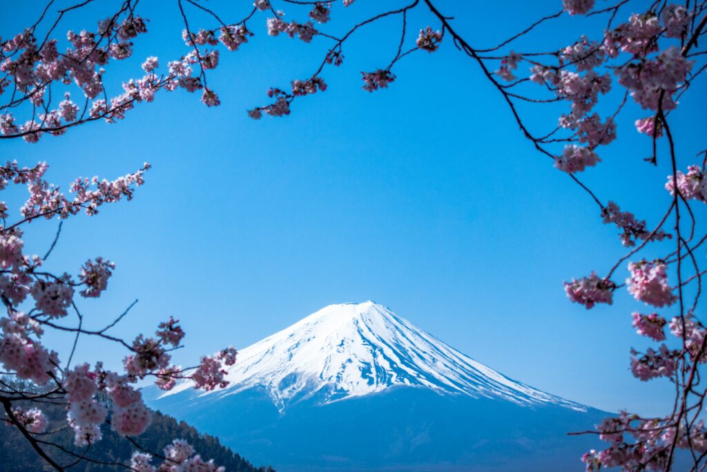 さぁ～東京へ出稼ぎだ！！