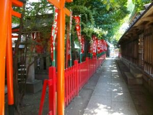 IMGP0621
