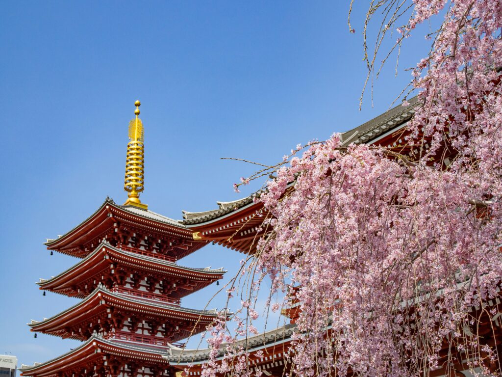 やってきました東京へ！！今年も元気に行きたいものです！！