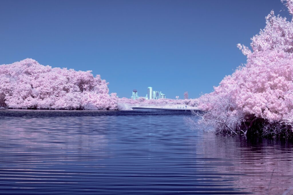 九州は桜が近いぞ！！メラメラと鋭気が湧いてきた！！