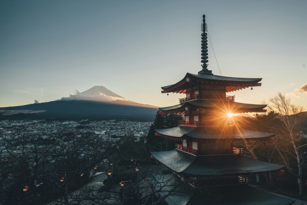 確定申告やっと終わりました！！東京事務所は、予断を許さない状況みたいです！！