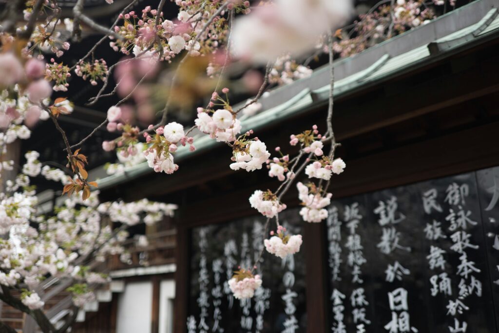人生は熱い方がいい!!潤いの雨の大阪も熱いぜ!!