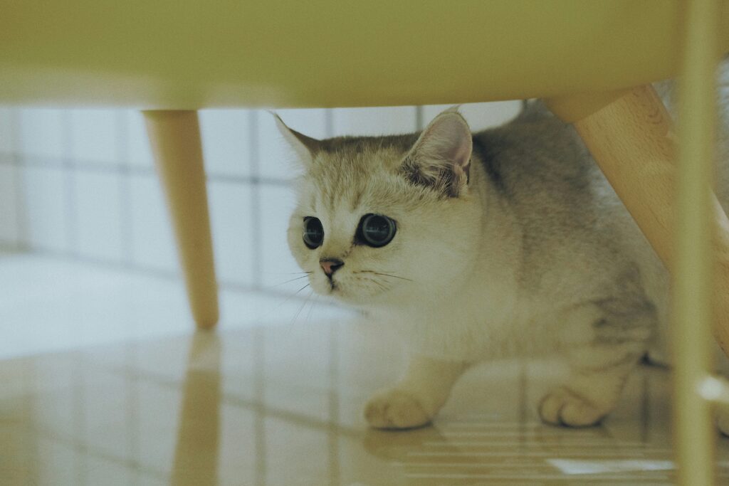 森羅万象をどう捉えるか？？？結局、自分で人生を決めている！！