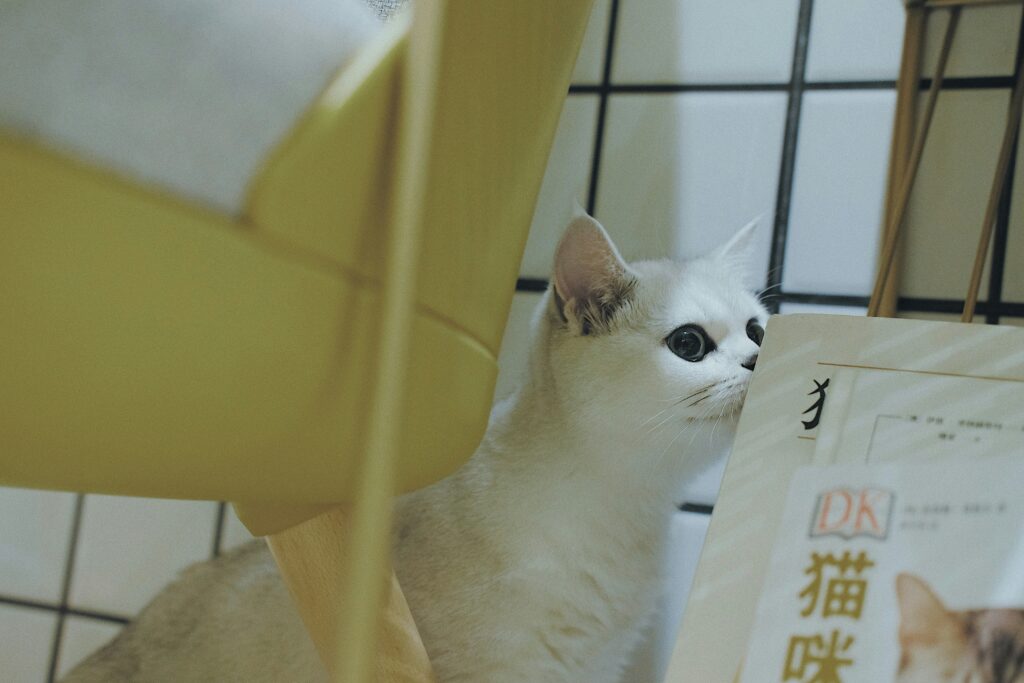 人生で最大の買い物と言われる 『家』について考えてみました。