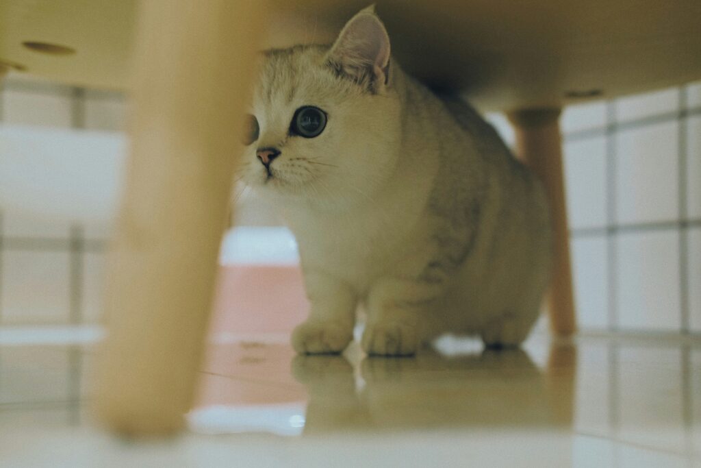 人生みなさん環境条件は、一緒だ！！