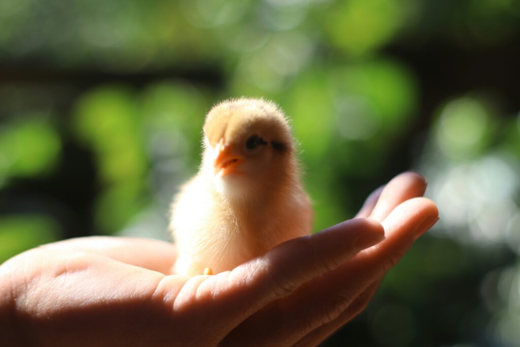 笑いと雰囲気が、人生を拓く！！
