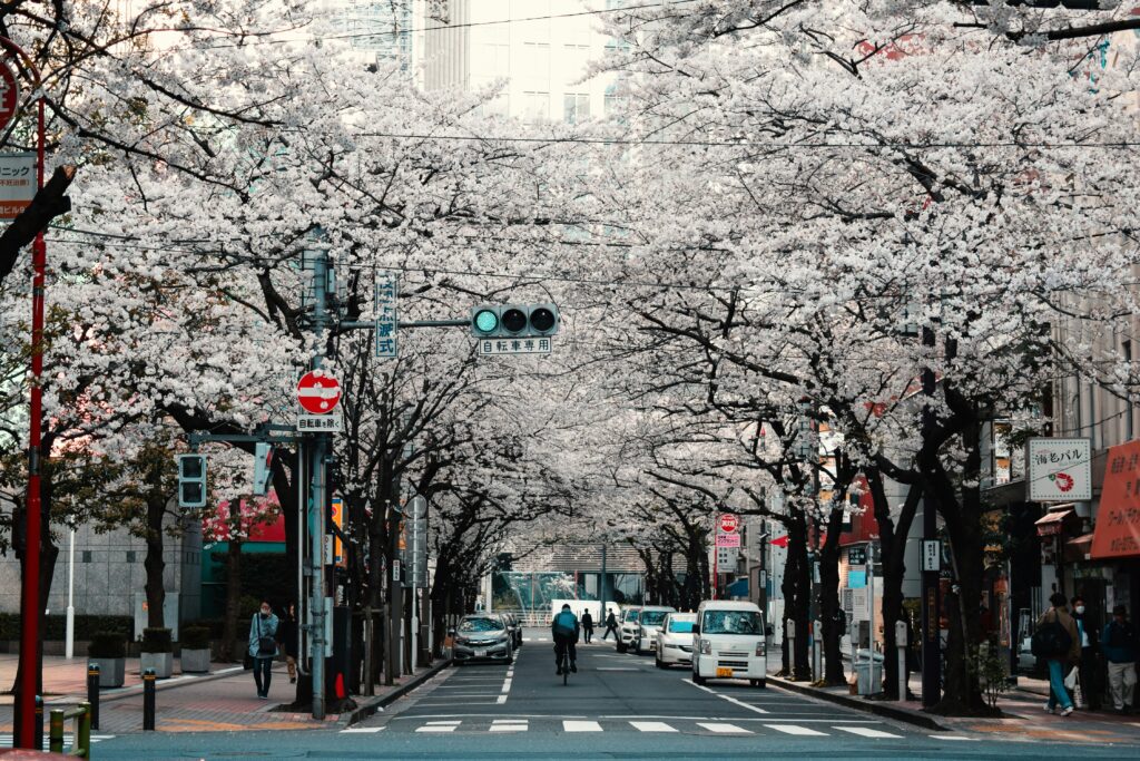 なぜ東京事務所は、上野なのでしょうか？