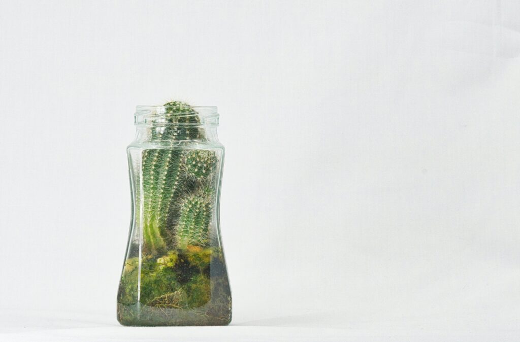 出生時両立支援助成金
