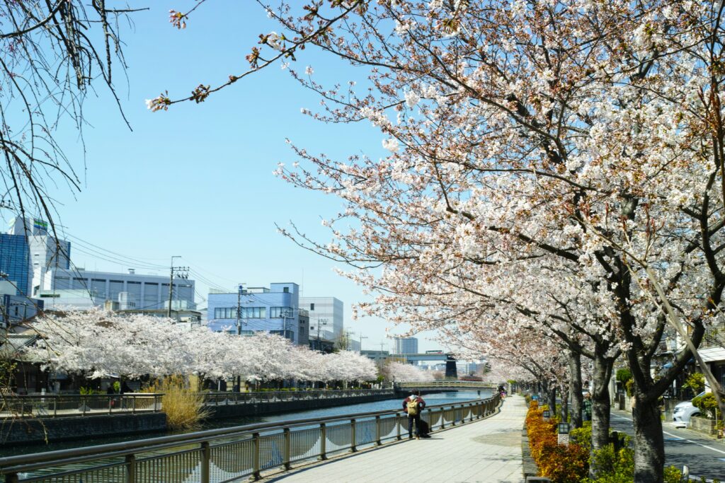 花見とともにワークライフバランスの1日です！！