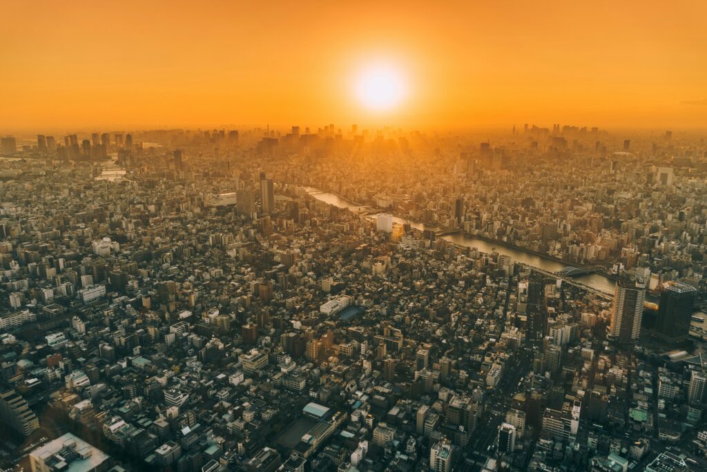 東京は、寒くなくて良かったが？？？