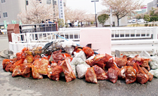 ゴミの量に驚かされます。